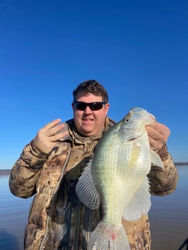 Crappie Fishing in Grenada, Mississippi