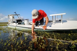 Fly-fishing/Sight-fishing