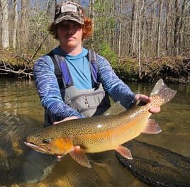 Trophy trout fly fishing experience