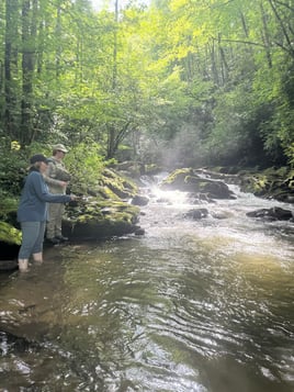 Trophy trout fly fishing experience