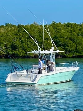8 Hr Offshore Charter Big Game