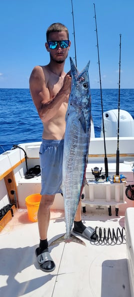 8 Hr Offshore Charter Big Game
