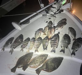 4 Hour – Night Fish / Flounder Gigg
