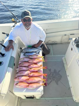 4 Hour AM Fishing