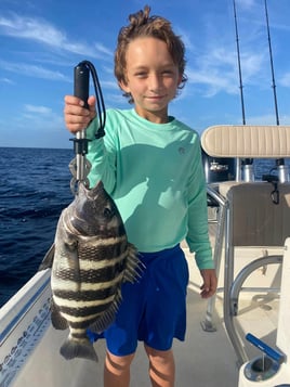 4-8 Hour Inshore Fishing Trip