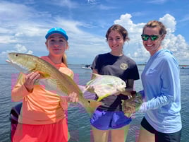 4-8 Hour Inshore Fishing Trip