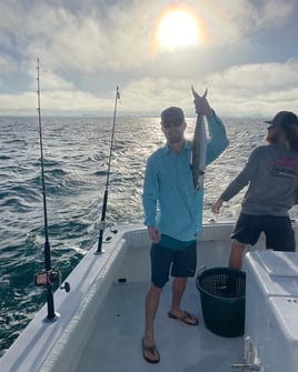 Trolling Trips