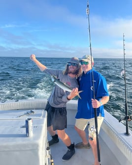 Trolling Trips
