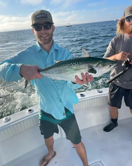 Trolling Trips