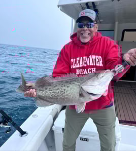Bottom Fishing