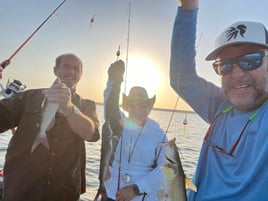 Trophy Blue Catfish