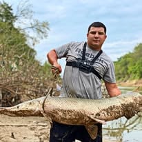 Alligator Gar Fishing
