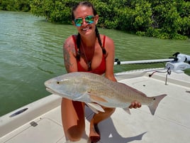 4-8 Hour Fishing Trip