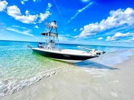 4-8 Hour Fishing Trip