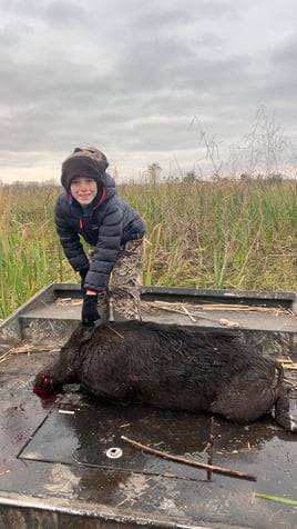 Airboat Hog Hunts