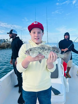 Inshore 4hr Trip