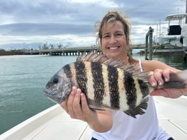 Inshore 4hr Trip
