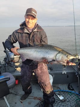 Ocean Coho/ Chinook