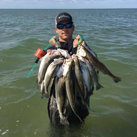 Speckled Trout Fishing in Galveston, Texas