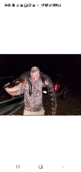Alligator Hunting in Darien, Georgia