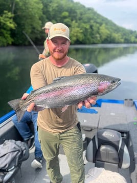 Trout Fishing
