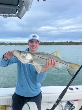 Inshore