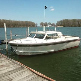Full Walleye Charter – Lake Erie