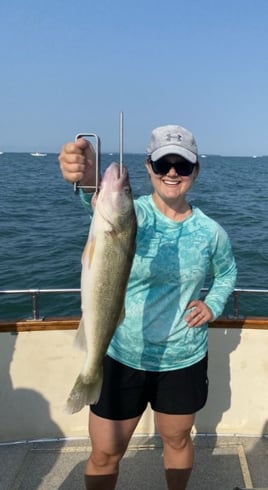 Full Day Trip – Lake Erie