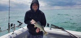 Full day 7 Hour Trip