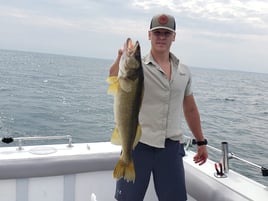 Full day 7 Hour Trip