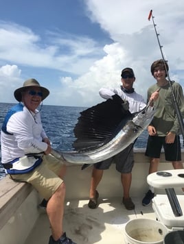 Sailfish Fishing in West Palm Beach, Florida