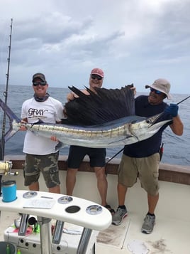 Sailfish Fishing in West Palm Beach, Florida