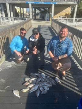 Grouper Trip!