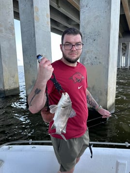 4-5 Hour Inshore Trip