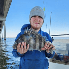 Sheepshead Chasing 3 Hour