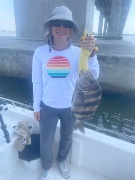 Sheepshead Chasing 3 Hour