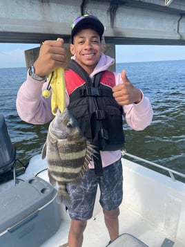 Sheepshead Chasing 3 Hour