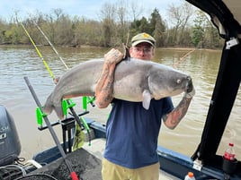 4-6 Hour Weekday Catfish Fishing Trip