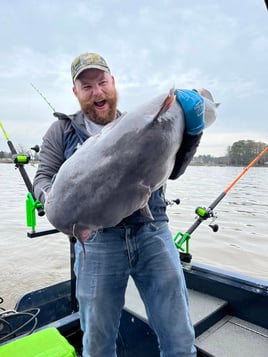 4-6 Hour Weekday Catfish Fishing Trip