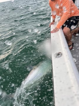 Tarpon Fishing Charter