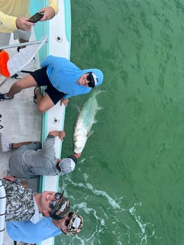 Tarpon Fishing Charter