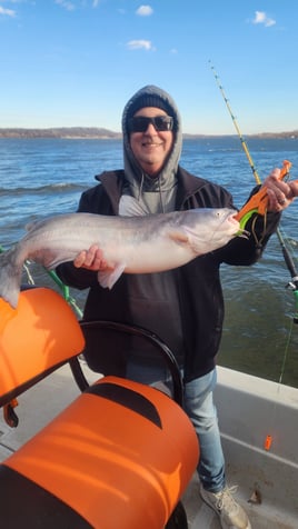 Catfish trip