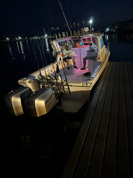 8-4 Hours Offshore Trip