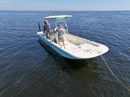 Shark fishing