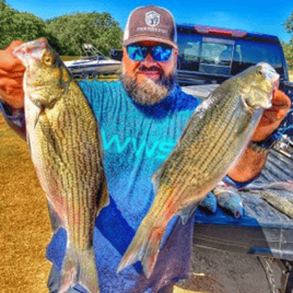 Bass Fishing Richland Chambers Lake