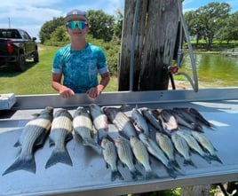 Bass Fishing Richland Chambers Lake