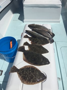 St. Augustine Inshore Trip