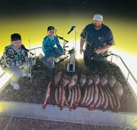 Bowfishing in Port O' Connor Texas
