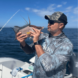 Hogfish Hoedown