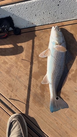 Inshore backwater fishing